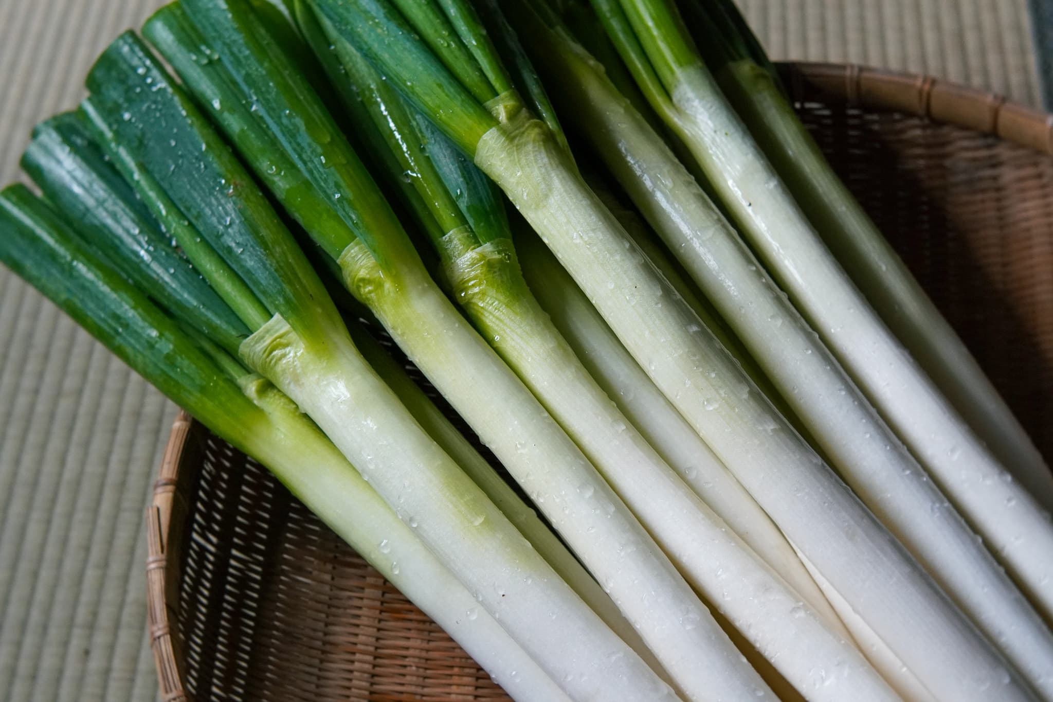 泉ノ葱 (IZUMI NO NEGI)